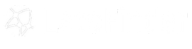 letfinder_logo_white